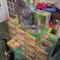photo de livraison pour Vallée des Chats