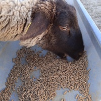 photo de livraison pour La Ferme des Zanimobiles