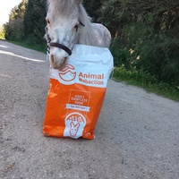 photo de livraison pour Happy Horse Day