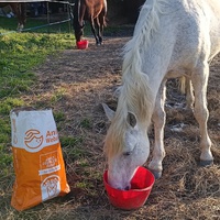 photo de livraison pour Les Crinières de Salherm