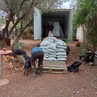 photo de livraison pour Help Adopt Moroccan Animals