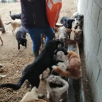 photo de livraison pour Mariuta