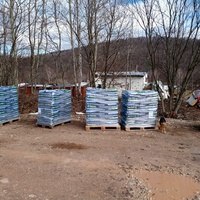 photo de livraison pour Silver Dog Srebrenica