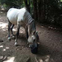 photo de livraison pour Ulyan
