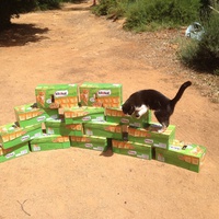 photo de livraison pour L'Assist'Aux Chats