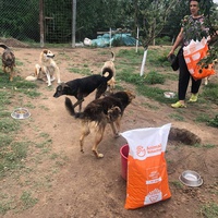photo de livraison pour Viata Animalelor