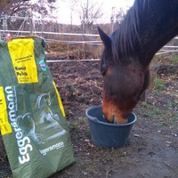 photo de livraison pour Chevaux Murmurent