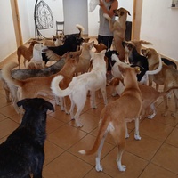 photo de livraison pour Sanctuaire de la Faune de Tanger (SFT)
