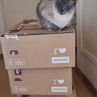 photo de livraison pour Chats Libres des Hauts Cantons de l'Hérault