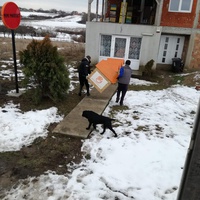 photo de livraison pour Animal Shields Oradea