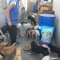 photo de livraison pour Associtia Axi Hope Romania
