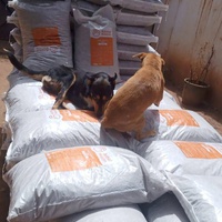 photo de livraison pour Help Adopt Moroccan Animals