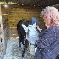 photo de livraison pour SOS Animaux, un Toit pour la Vie