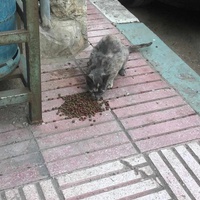 photo de livraison pour Hajar Aourz