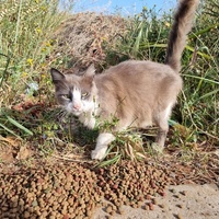 photo de livraison pour Kawthar Maree