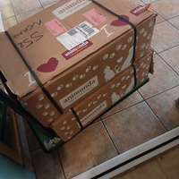 photo de livraison pour Protect Cat