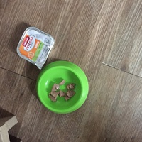 photo de livraison pour Les Chats Libres Condom 32