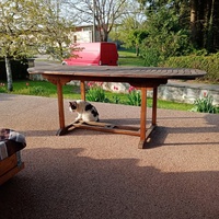 photo de livraison pour Chat de Gout'hier sans Toit