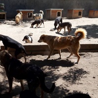 photo de livraison pour Svetlana Bjelogrlic