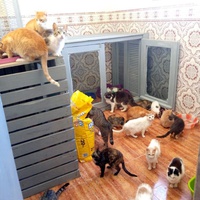 photo de livraison pour Hajar Aourz