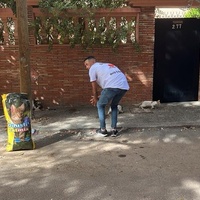 photo de livraison pour L'Arche de Noé