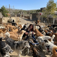 photo de livraison pour Sanctuaire de la Faune de Tanger (SFT)