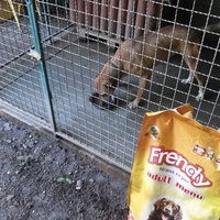 photo de livraison pour Society for the Protection of Animals LJUBIMCI