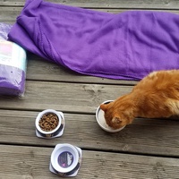 photo de livraison pour Nos Amis les Poilus à Quatre Pattes