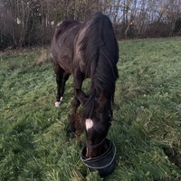 photo de livraison pour Bêle et Bête