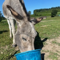 photo de livraison pour ADADA