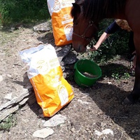 photo de livraison pour Association hippique du Caroux