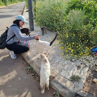 photo de livraison pour Kawthar Maree