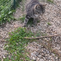 photo de livraison pour Hope14