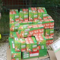 photo de livraison pour Les Copains Félins