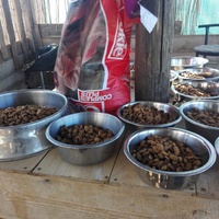 photo de livraison pour Happy Shelter Skopje