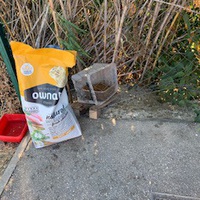 photo de livraison pour Le Chat Salonais