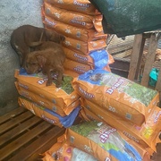 photo de livraison pour ADAN TETOUAN