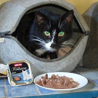 photo de livraison pour Protection Animale Berroise