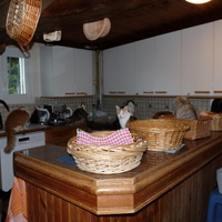 photo de livraison pour Chats Heureux