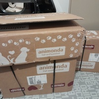 photo de livraison pour La Légende des Chats