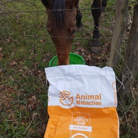 photo de livraison pour Hearthland Royal Horse
