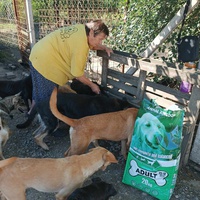 photo de livraison pour Association for the protection of animals "BAK"