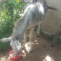 photo de livraison pour ADADA