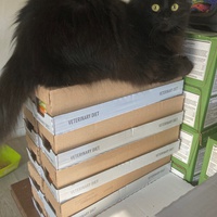 photo de livraison pour Cosette