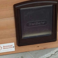 photo de livraison pour Chats cerbériens