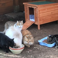 photo de livraison pour Association Nos Amis Nos Animaux