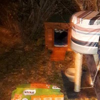 photo de livraison pour Les Chats Libres de la Canterrane