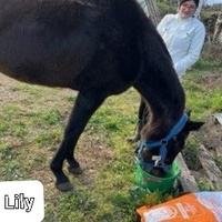 photo de livraison pour La Retraite des Chevaux des Causses