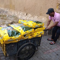 photo de livraison pour ERHAM