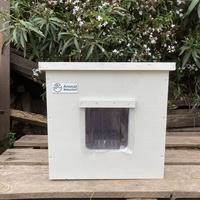 photo de livraison pour STREET CATS